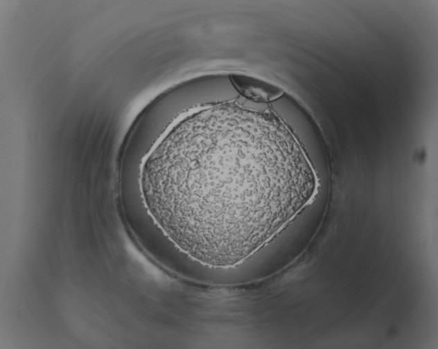 X0000110701527200906261355