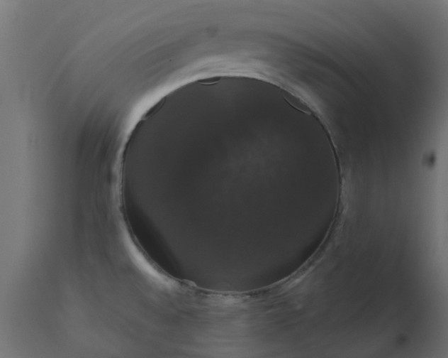 X0000110701528200906261355