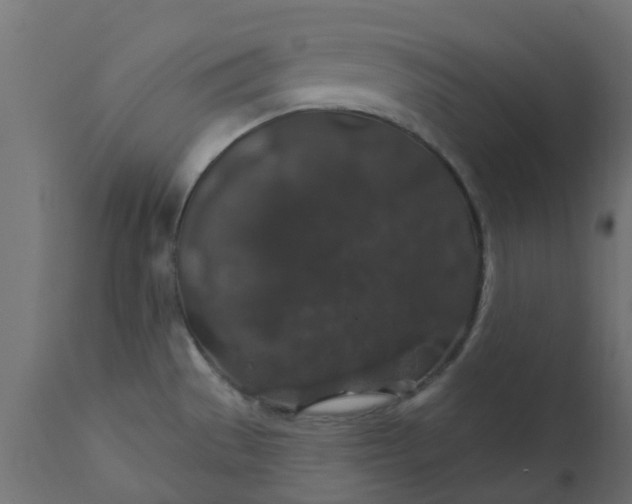 X0000110701529200906261356