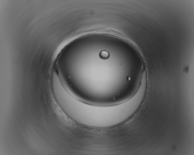 X0000110701530200906261356