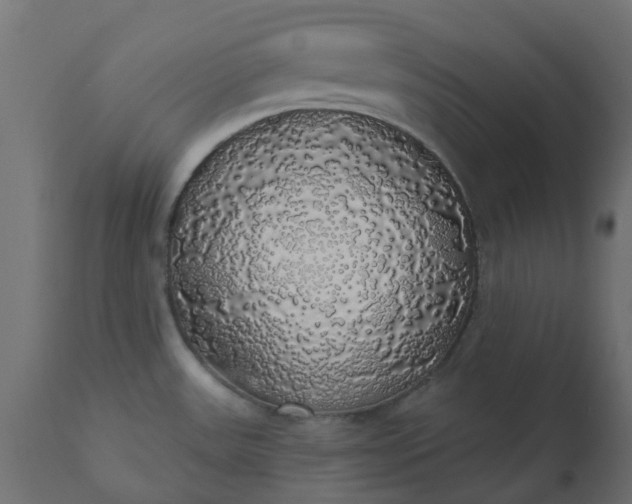 X0000110701531200906261356