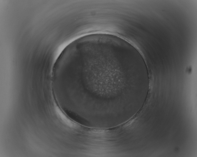 X0000110701532200906261356
