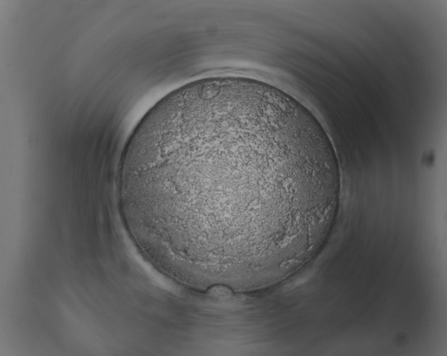 X0000110701533200906261356