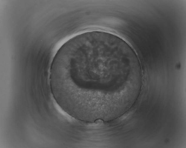 X0000110701535200906261356