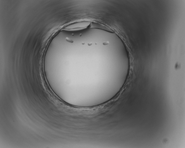 X0000110700001200907022009