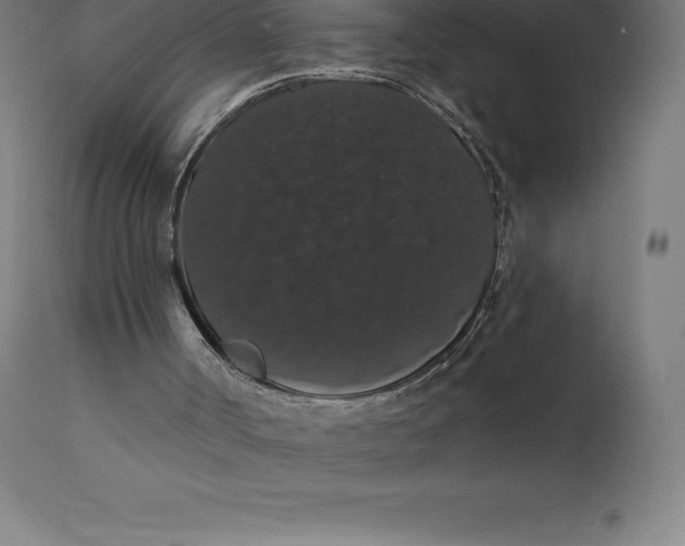X0000110700002200907022009