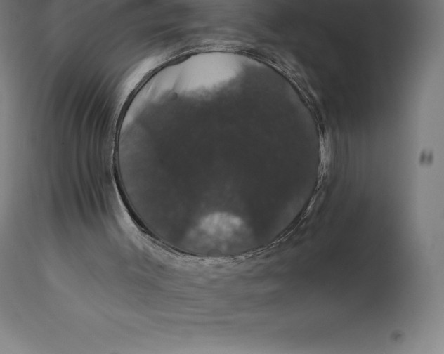 X0000110700003200907022009
