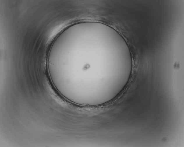X0000110700005200907022009