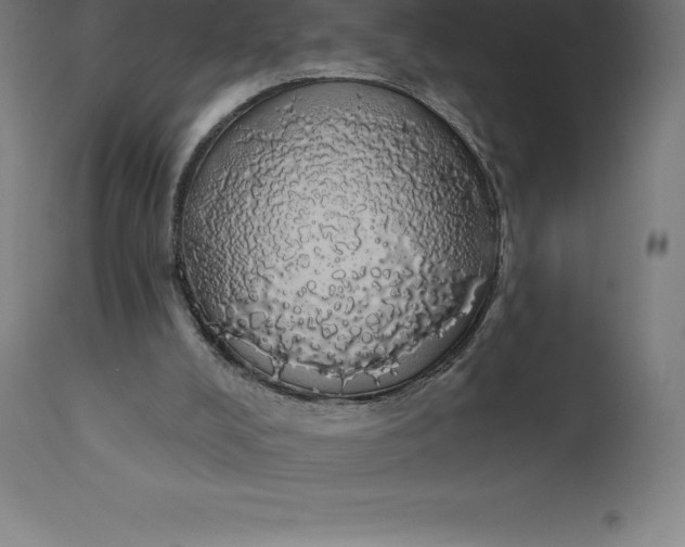 X0000110700008200907022009