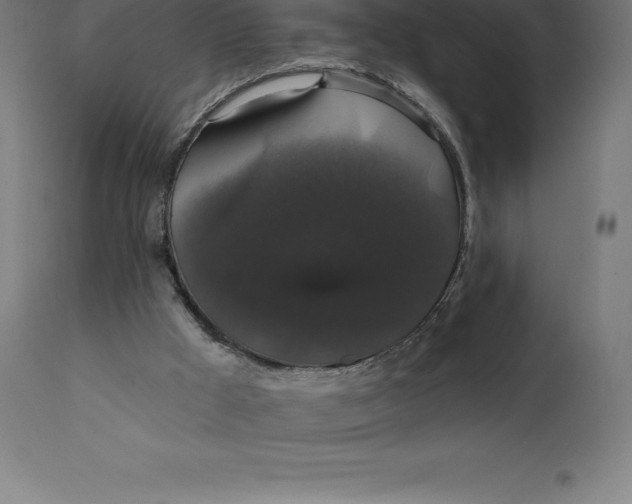 X0000110700009200907022009