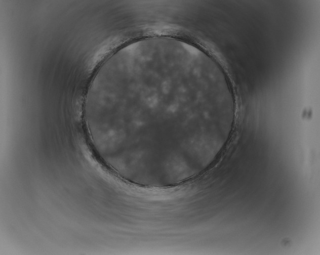 X0000110700010200907022009