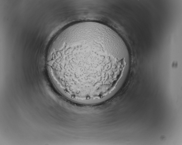 X0000110700012200907022009