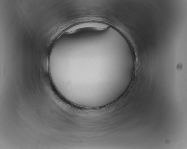 X0000110700013200907022009