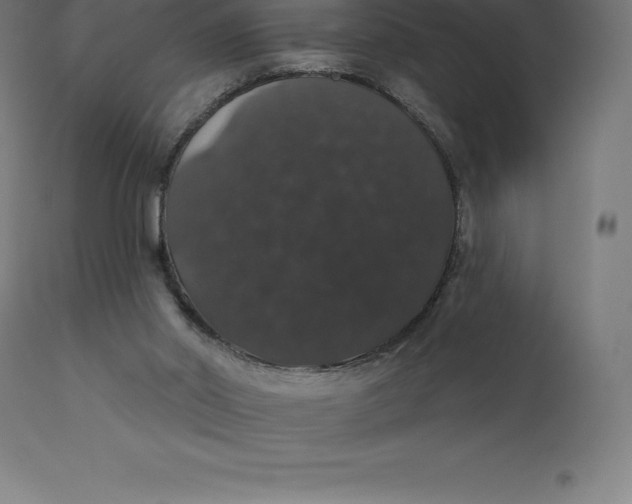 X0000110700014200907022009