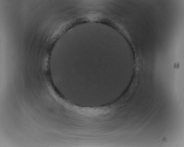 X0000110700018200907022009