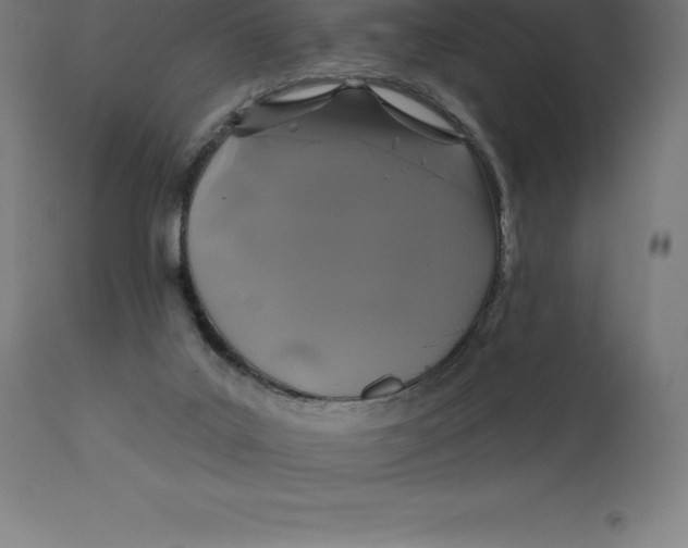X0000110700019200907022009