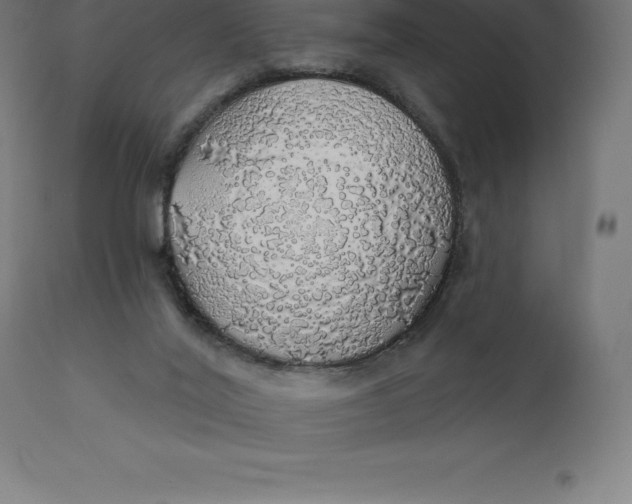 X0000110700020200907022009