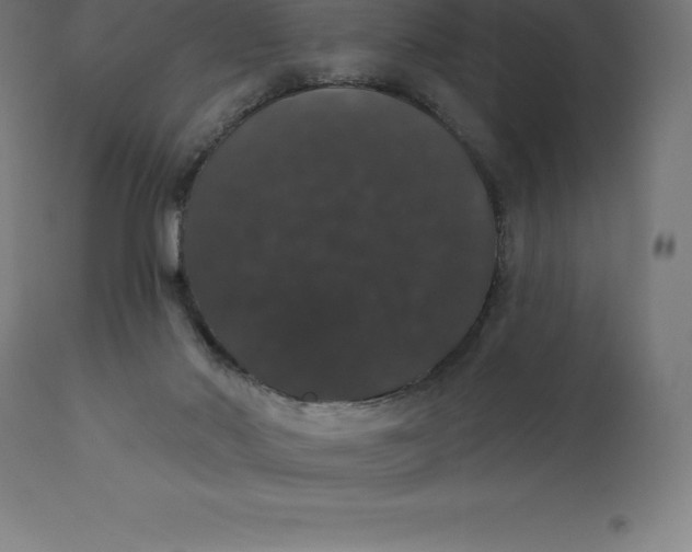 X0000110700022200907022008
