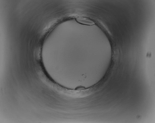 X0000110700023200907022008