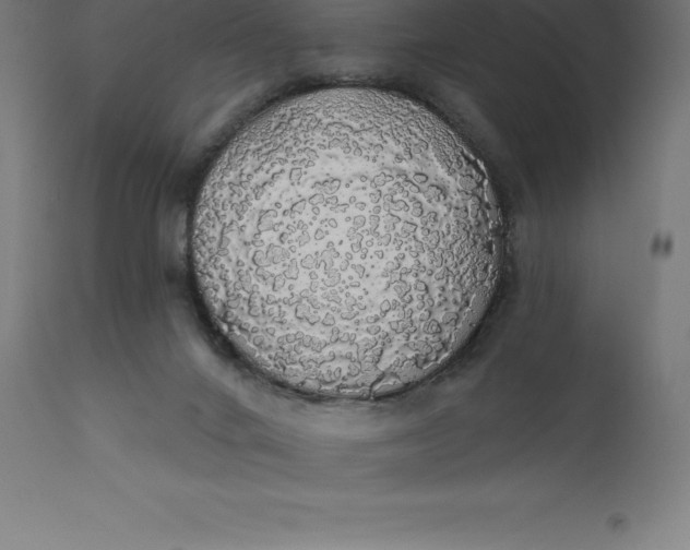X0000110700024200907022008