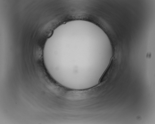 X0000110700025200907022008