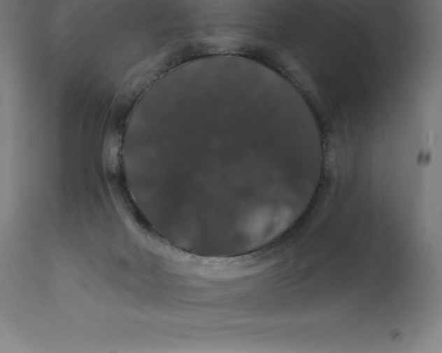 X0000110700026200907022008