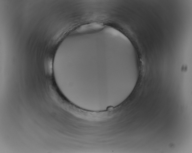 X0000110700027200907022008