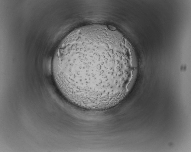 X0000110700028200907022008