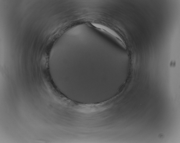 X0000110700029200907022008