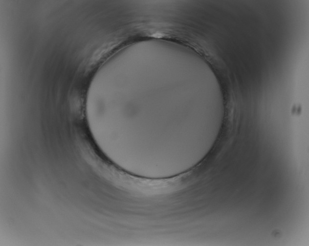 X0000110700031200907022008