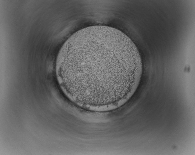 X0000110700032200907022008