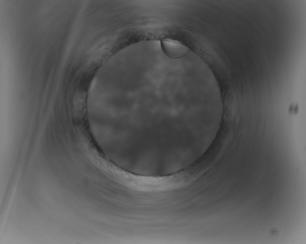 X0000110700034200907022008