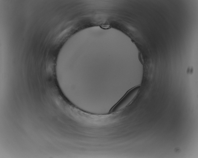 X0000110700035200907022008