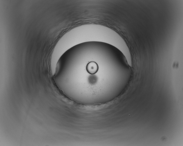 X0000110700037200907022008