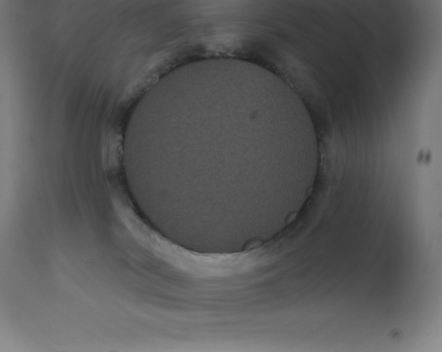 X0000110700038200907022008