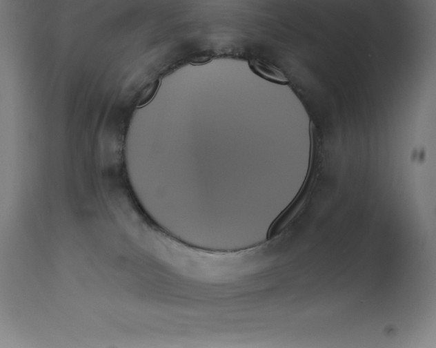 X0000110700039200907022008