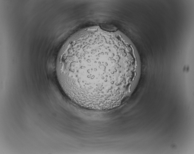 X0000110700040200907022008