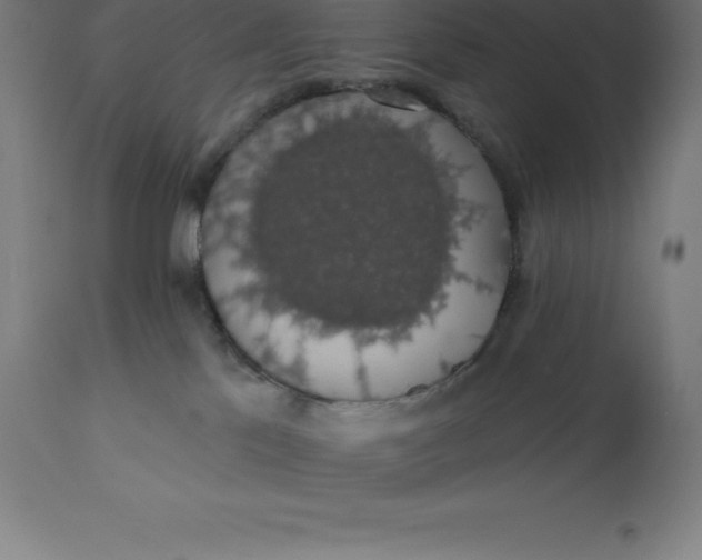 X0000110700041200907022008