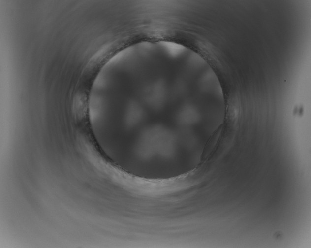 X0000110700043200907022008