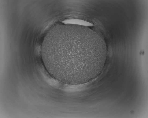 X0000110700045200907022008