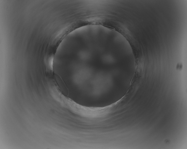 X0000110700047200907022008