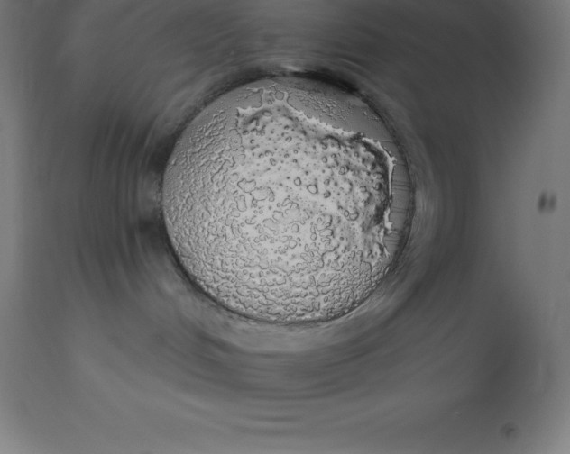 X0000110700048200907022008