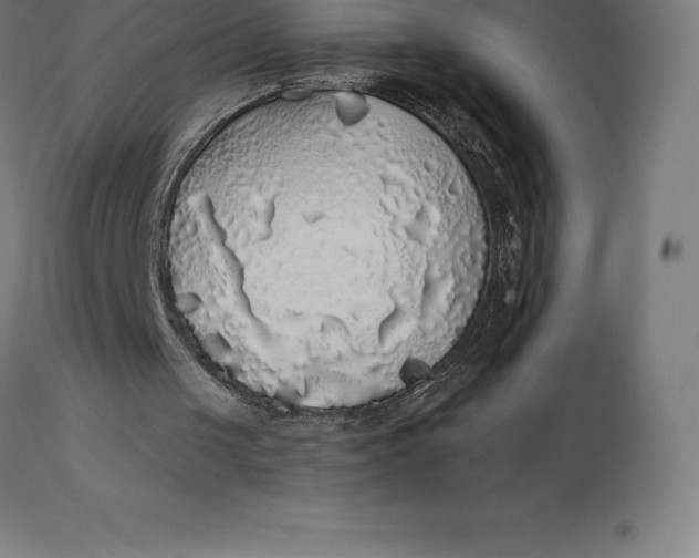 X0000110700049200907022007