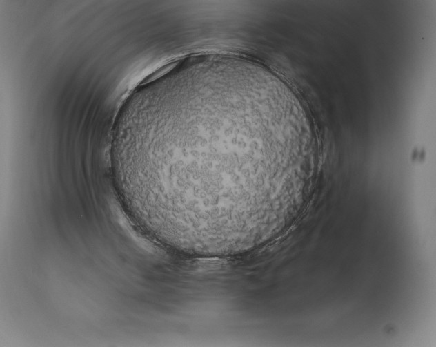 X0000110700050200907022007