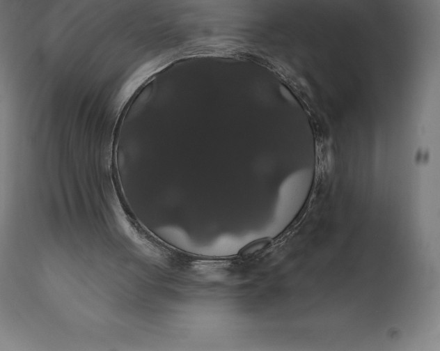 X0000110700051200907022007