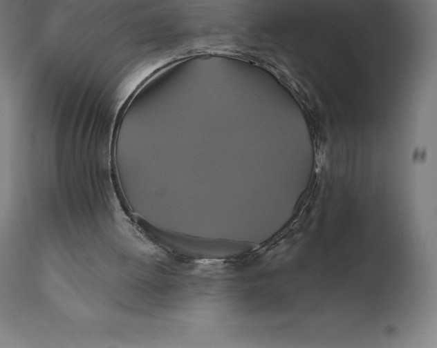 X0000110700052200907022007