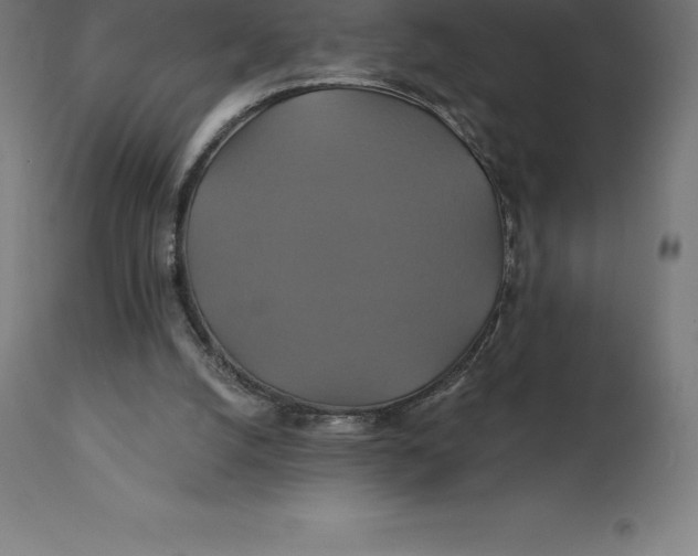 X0000110700056200907022007