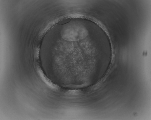 X0000110700057200907022007