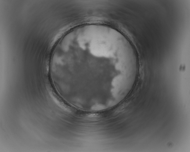 X0000110700059200907022007