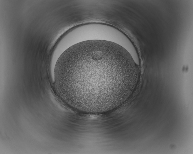 X0000110700060200907022007
